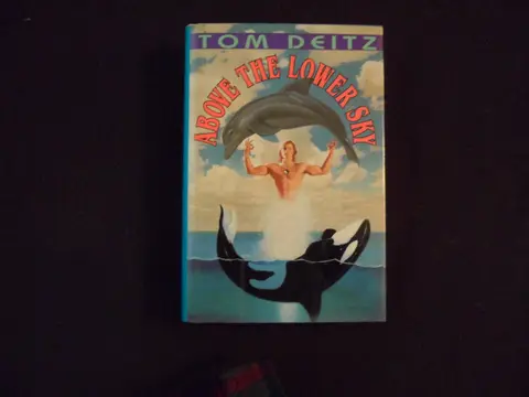 Cover of Above the Lower Sky
