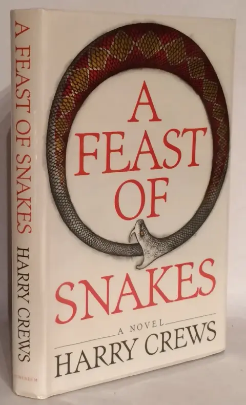 Cover of A feast of snakes