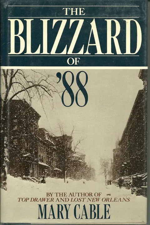 Cover of Blizzard of 88