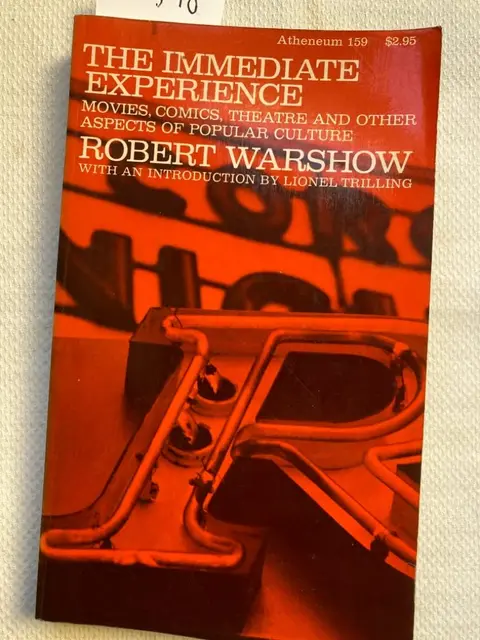 Cover of Immediate Experience