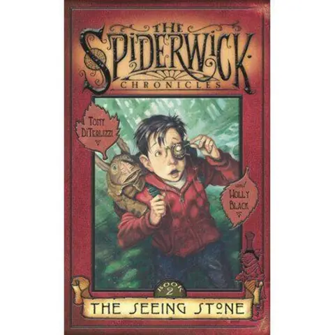 Cover of The Seeing Stone