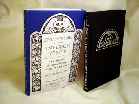 Cover of Encounters with the Invisible World
