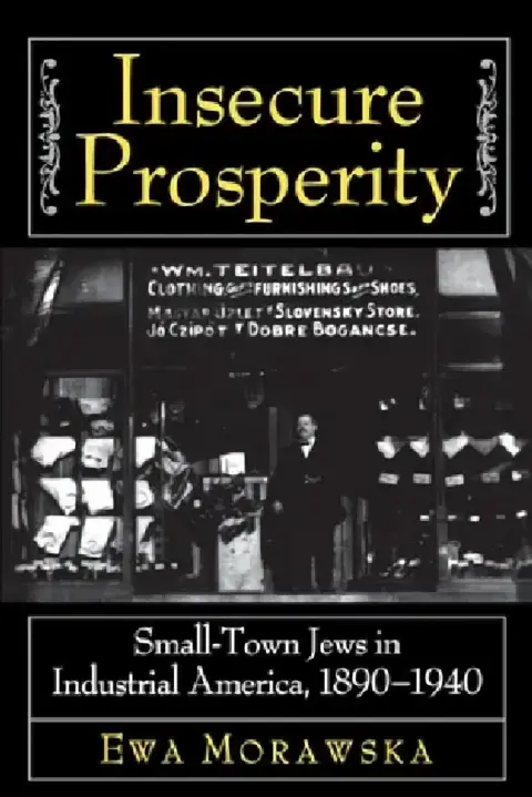 Cover of Insecure Prosperity