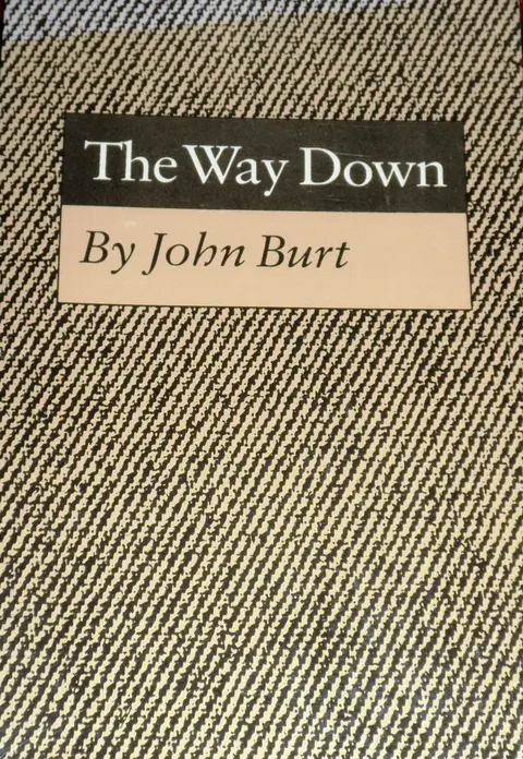 Cover of The Way Down