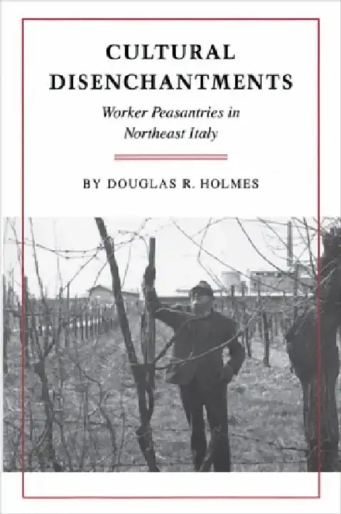 Cover of Cultural Disenchantments
