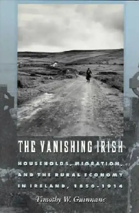 Cover of The Vanishing Irish
