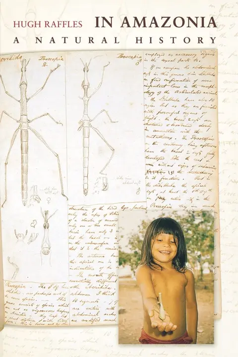 Cover of In Amazonia