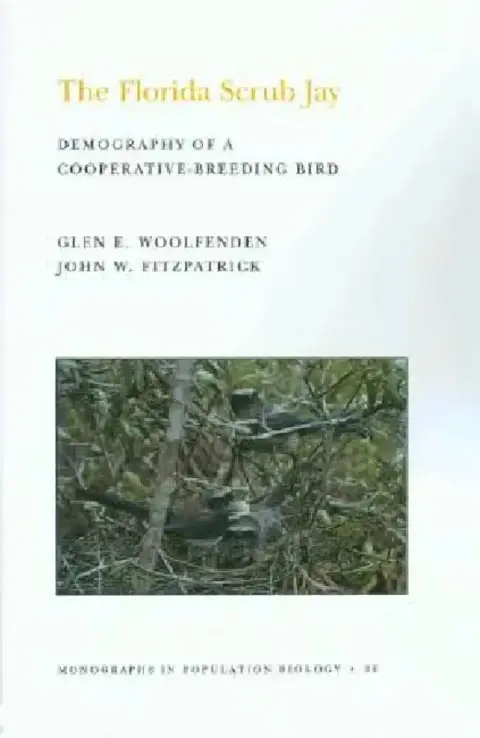 Cover of The Florida Scrub Jay