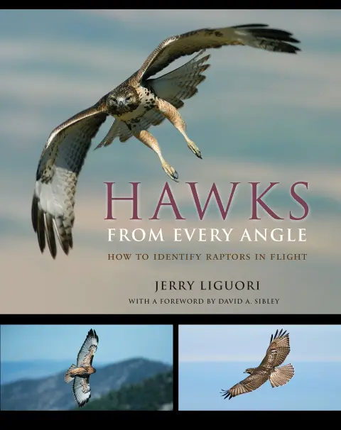 Cover of Hawks from Every Angle