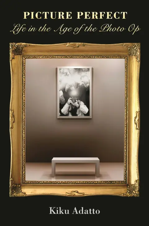 Cover of Picture Perfect
