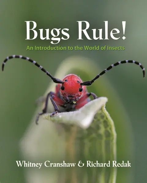 Cover of Bugs Rule!
