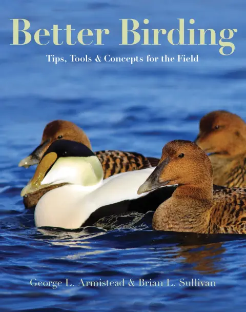 Cover of Better Birding