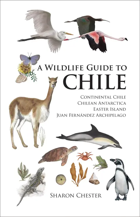 Cover of A Wildlife Guide to Chile