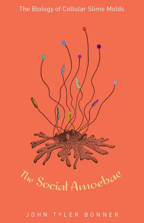 Cover of The Social Amoebae