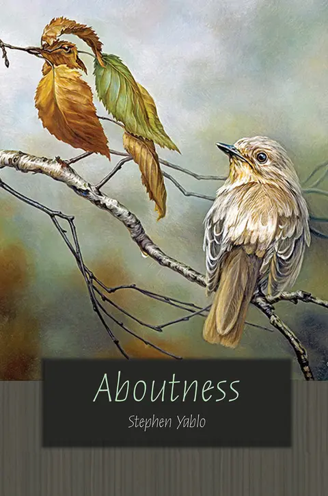 Cover of Aboutness