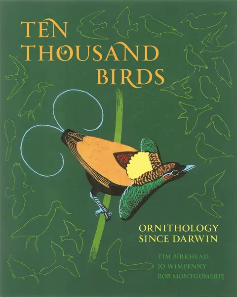 Cover of Ten Thousand Birds