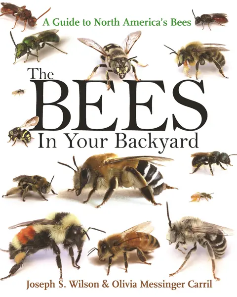 Cover of The Bees in Your Backyard