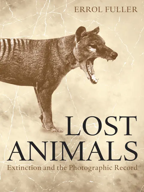 Cover of Lost Animals