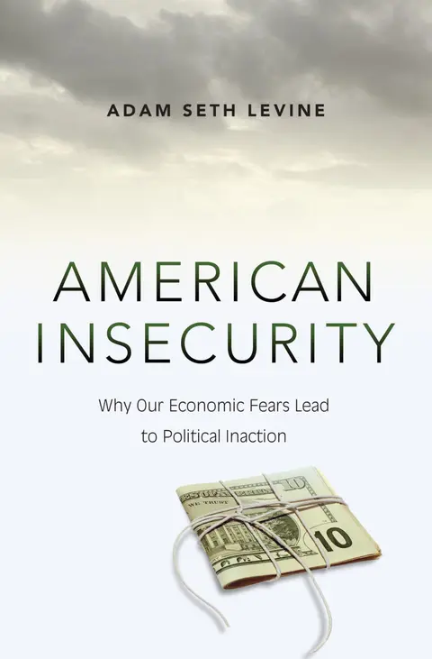 Cover of American Insecurity