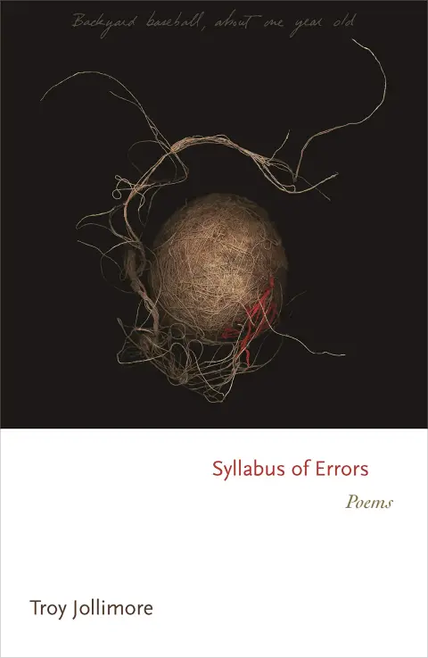 Cover of Syllabus of Errors