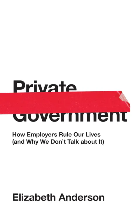 Cover of Private Government