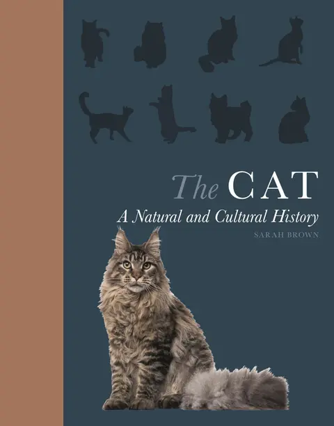 Cover of The Cat