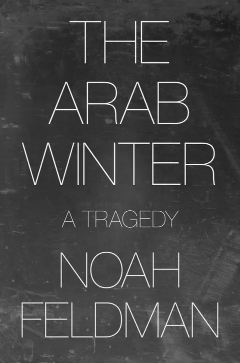 Cover of The Arab Winter