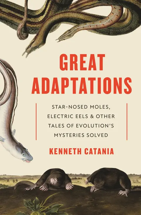 Cover of Great Adaptations
