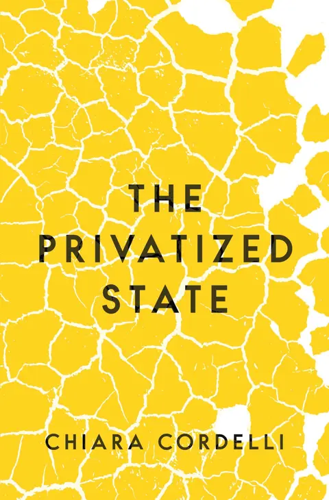 Cover of The Privatized State