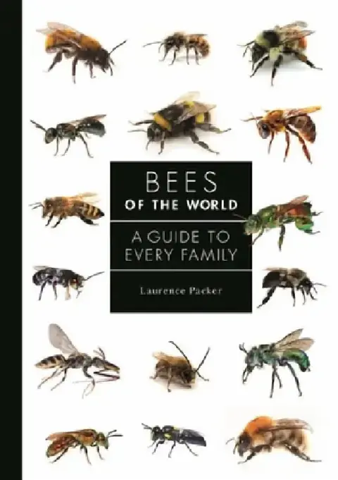 Cover of Bees of the World