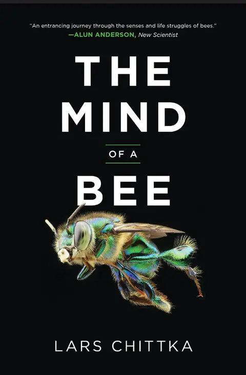 Cover of The Mind of a Bee