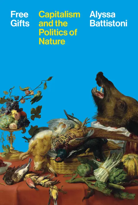 Cover of Free Gifts