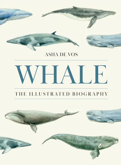 Cover of Whale