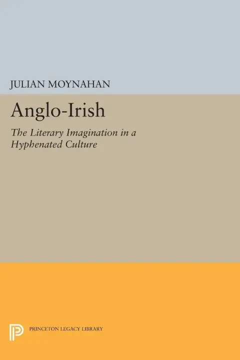 Cover of Anglo-Irish