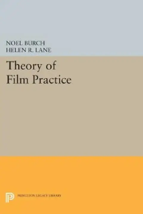 Cover of Theory of Film Practice