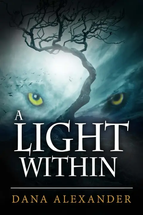 Cover of A Light Within