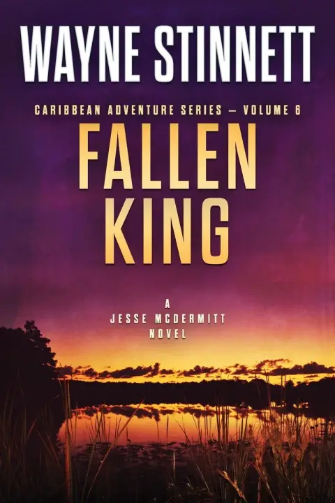 Cover of Fallen King