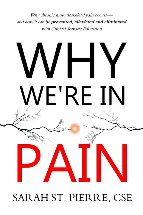 Cover of Why We're in Pain