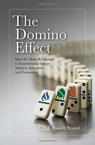 Cover of The Domino Effect