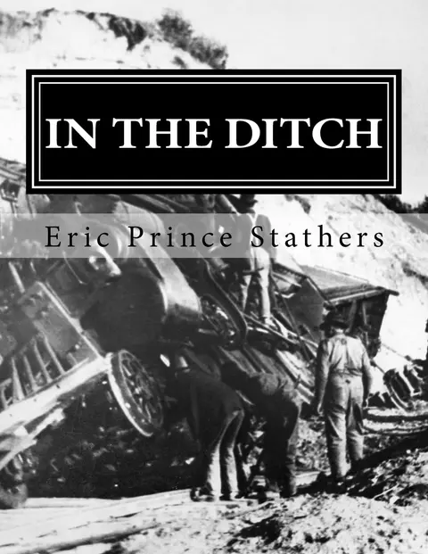 Cover of In the Ditch