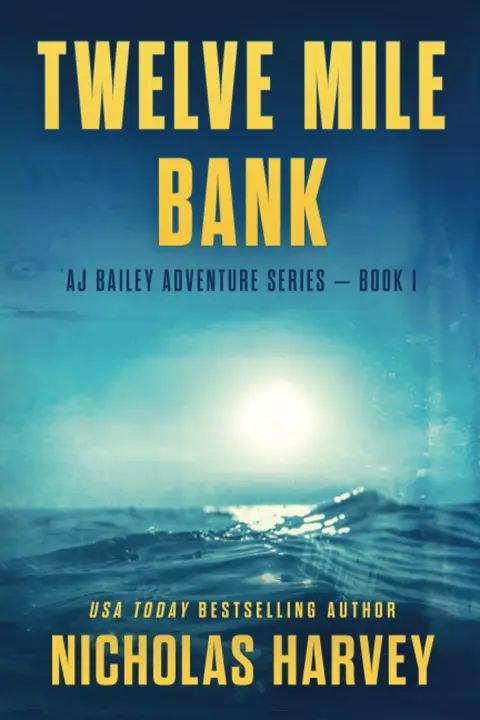 Cover of Twelve Mile Bank