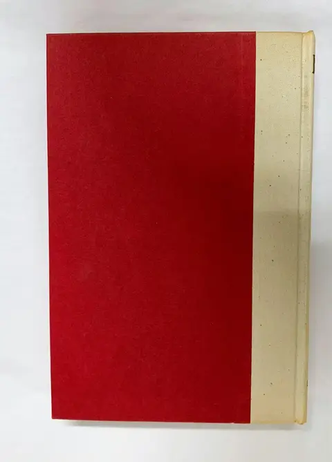 Cover of The Bormann brief
