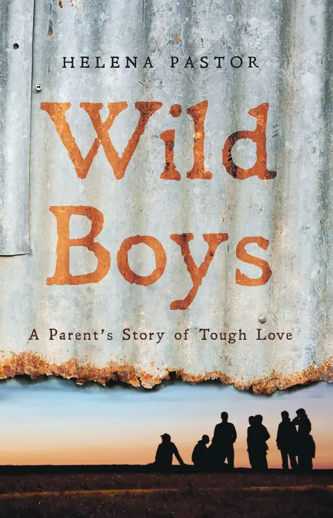 Cover of Wild Boys