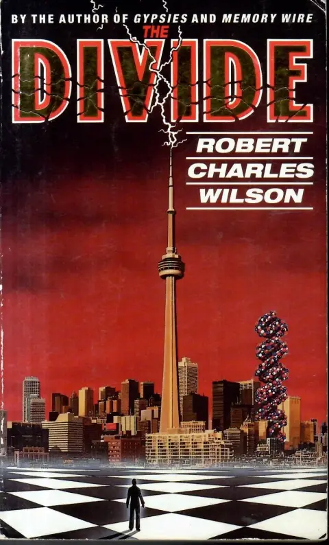 Cover of The Divide