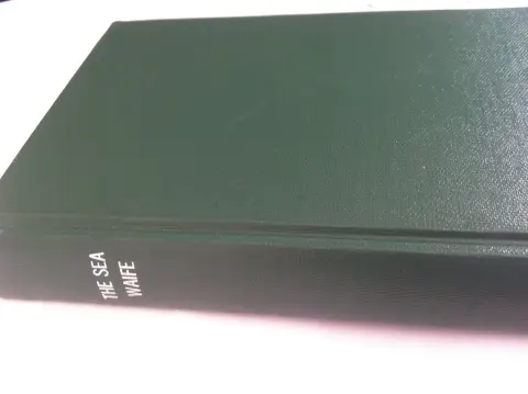 Cover of Sea Waif