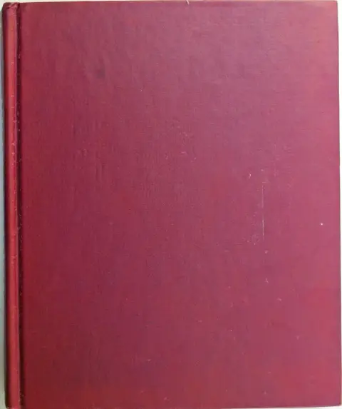 Cover of Under the Mediterranean