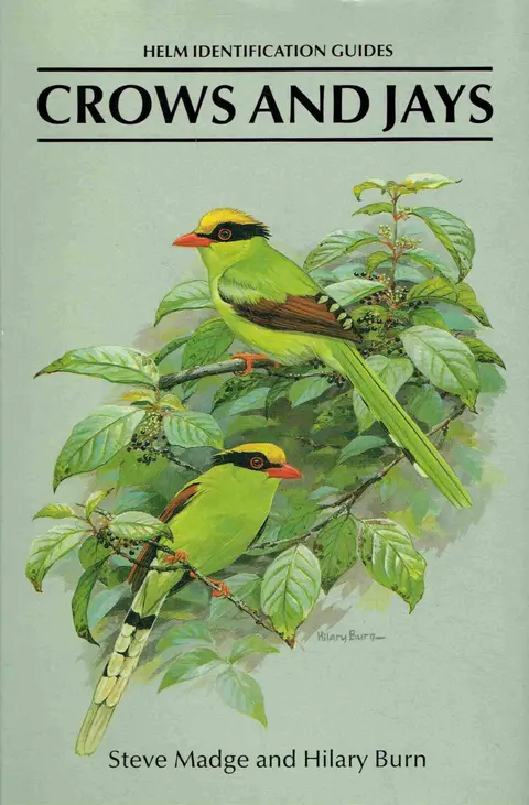 Cover of Crows and Jays