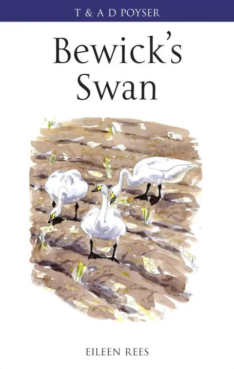 Cover of Bewick's Swan