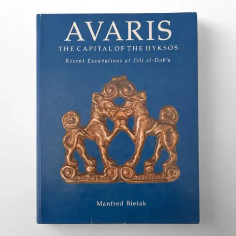 Cover of Avaris