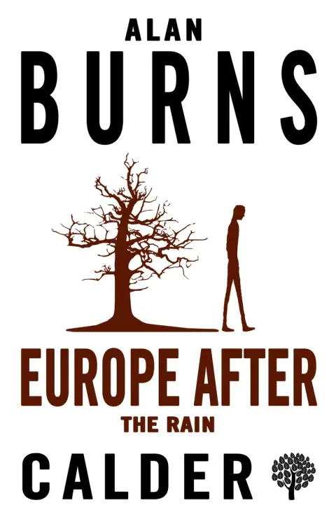 Cover of Europe after the Rain